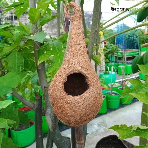 Coir Bird Nest Simple